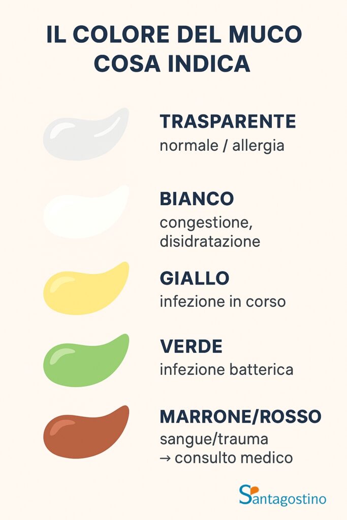 Il Colore del Muco_ santagostino genova